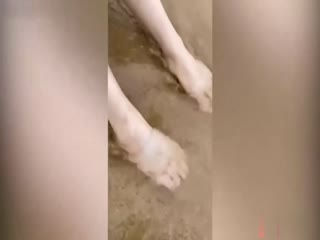 麻豆联合企划_洋子女神出演_幸运粉丝和女神的浪漫之旅